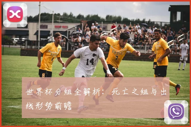 世界杯分组全解析：死亡之组与出线形势前瞻