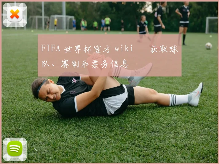 FIFA 世界杯官方 wiki – 获取球队、赛制和票务信息