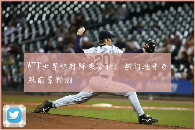 WTT世界杯对阵表分析：热门选手夺冠前景预测