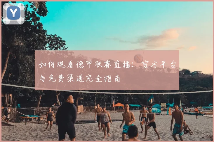 如何观看德甲联赛直播：官方平台与免费渠道完全指南